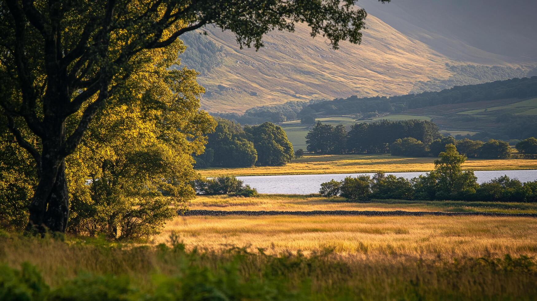 Idyllic scene of golden field, lake, and mountain in the background. Natural landscape of serenity with warm light and lush scenery. photo