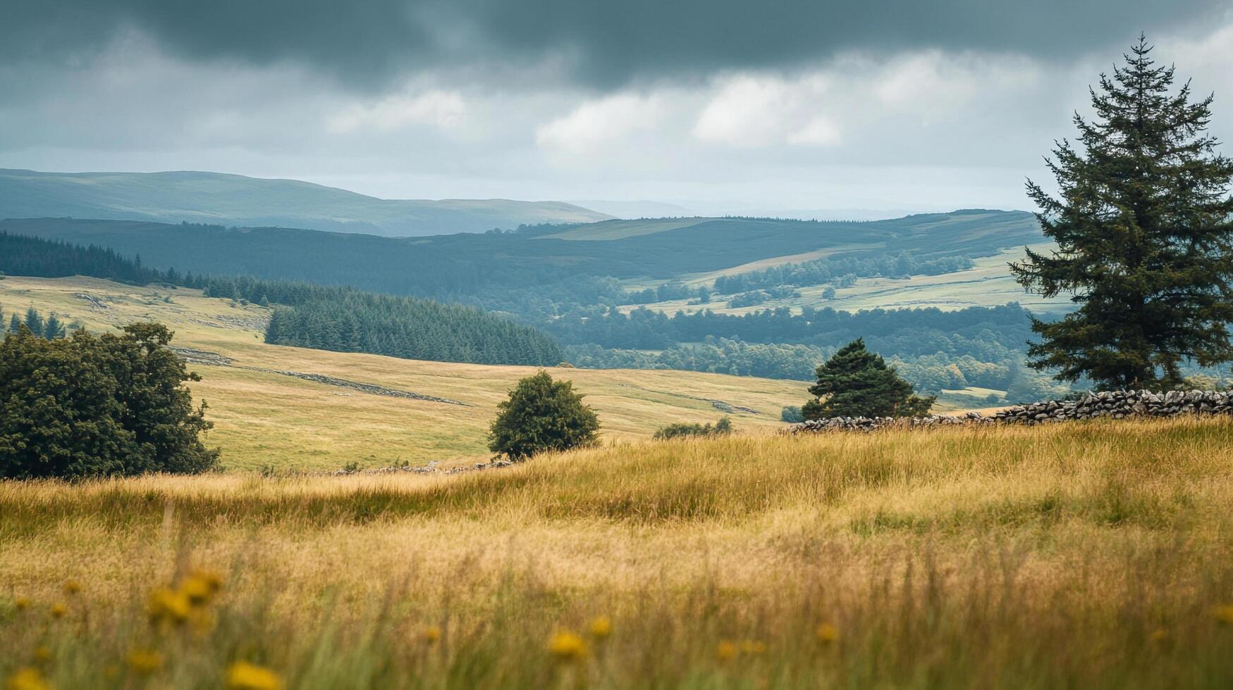 Expansive countryside vista featuring rolling hills, vibrant meadows, and scattered trees under an overcast sky, creating a serene landscape. photo