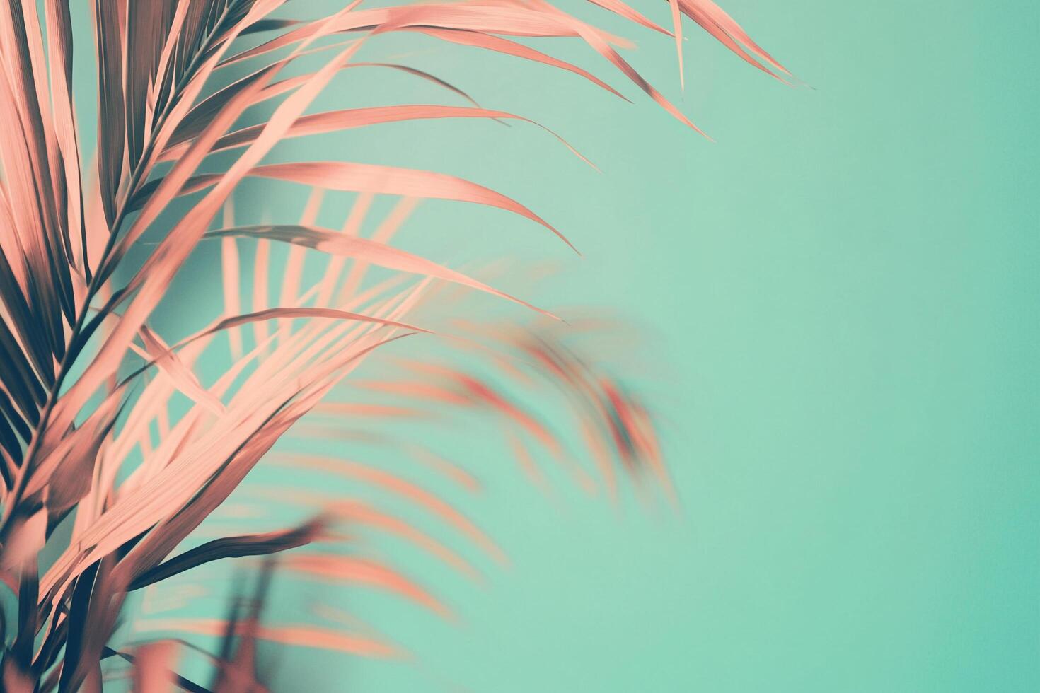 Aesthetic palm frond in pastel pink, set against a teal backdrop. Perfect for adding a touch of tropical calm to any digital space. photo