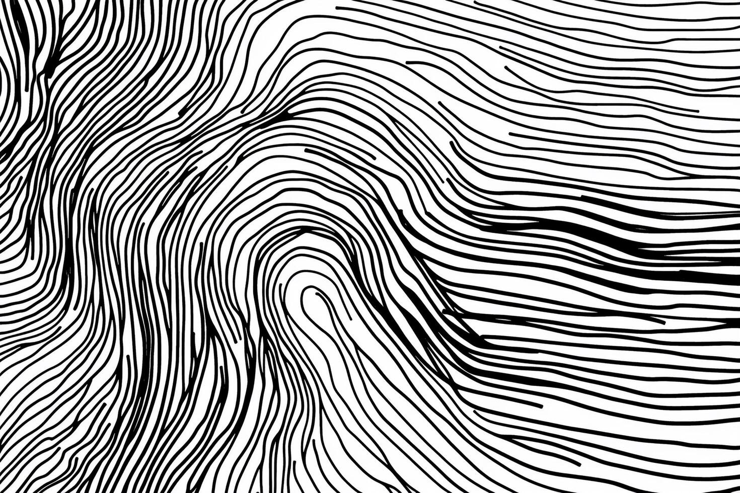 Monochrome abstract pattern with flowing lines and curves resembling topographic contour lines in black and white. Graphic element design photo