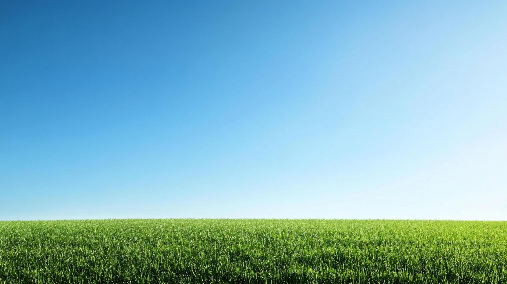 Expansive green field stretching to the horizon under a clear blue sky, evoking a sense of peacefulness and openness, perfect for serenity photo