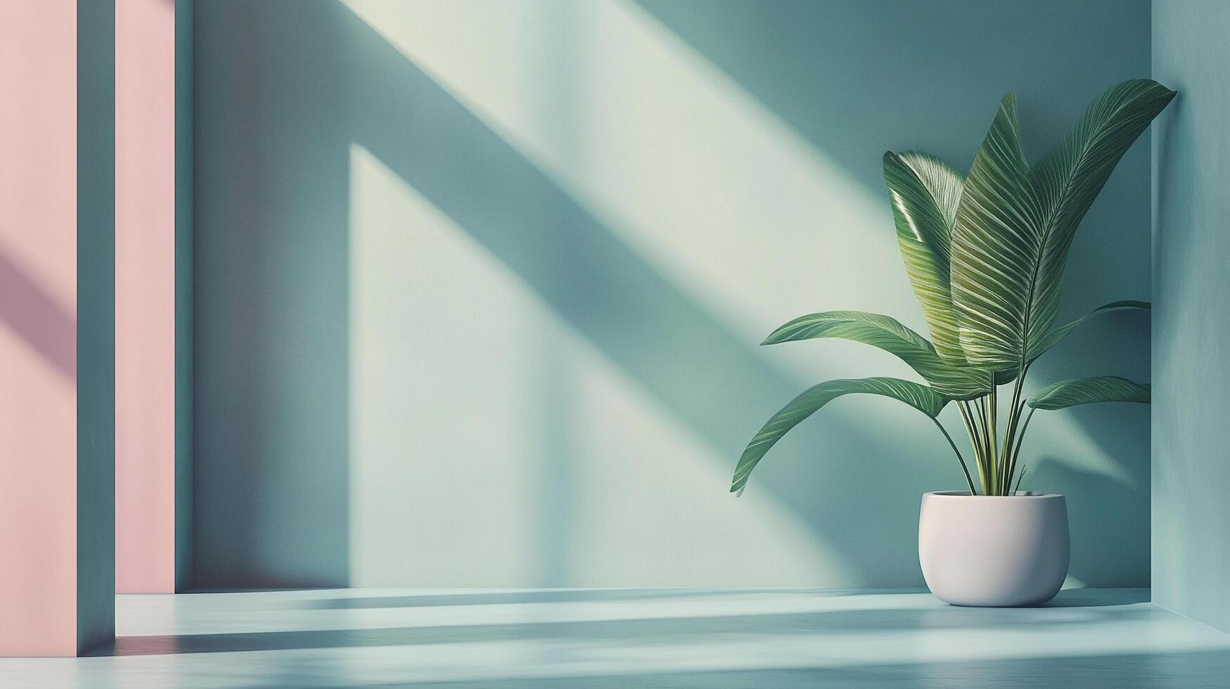 Minimalist interior showcasing a potted plant bathed in sunlight, creating a serene and calming atmosphere with pastel color scheme. photo