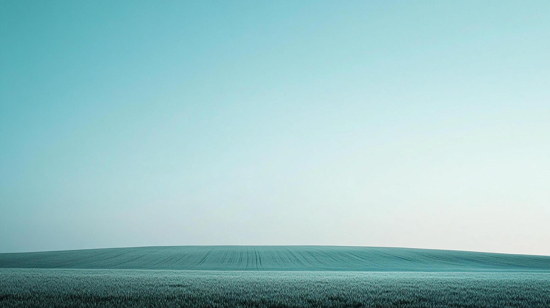Serene expanse of crops stretching towards the horizon under a tranquil, calming sky. A picture of nature's untouched beauty. photo