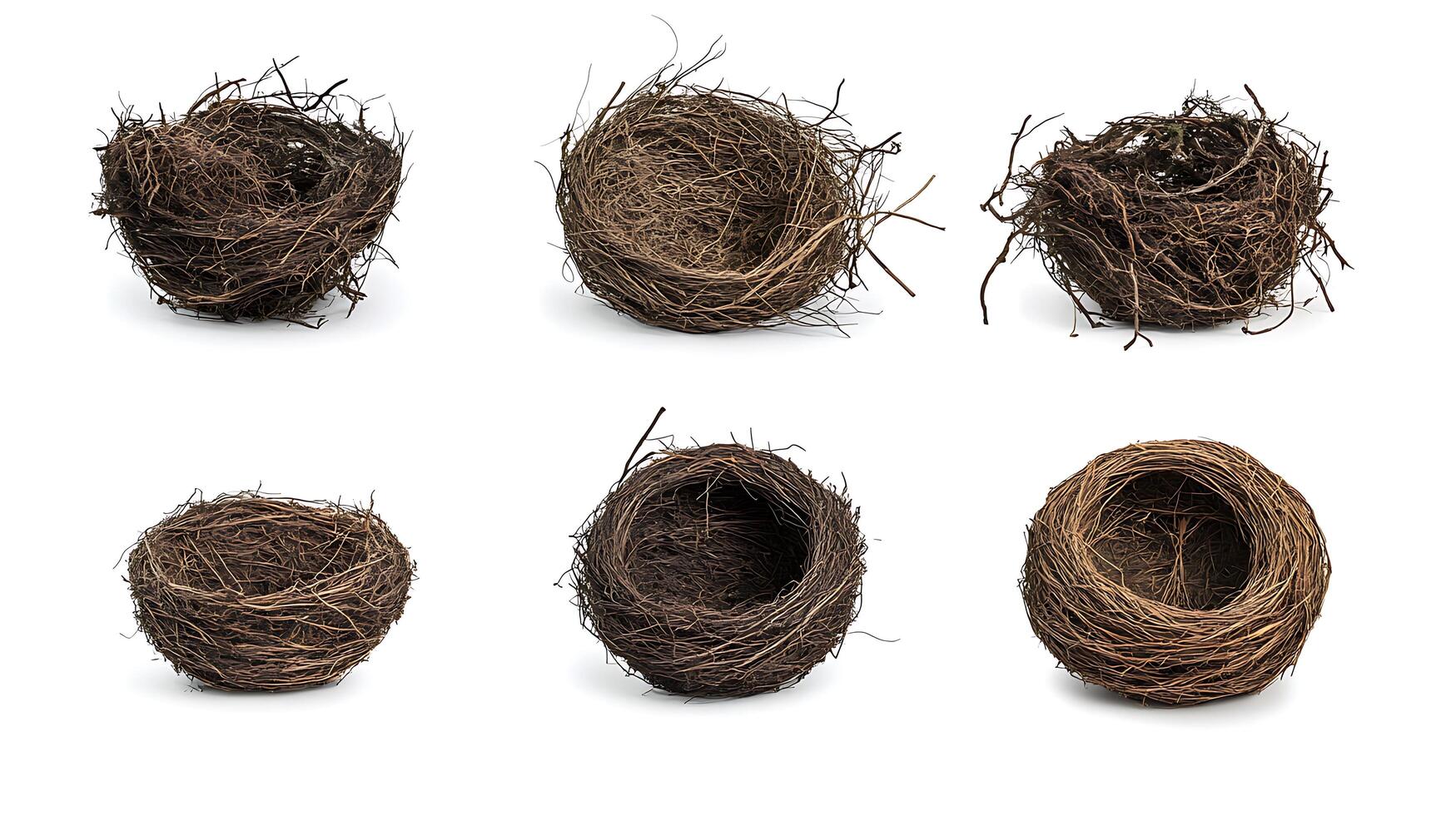 A collection of different bird nests photo