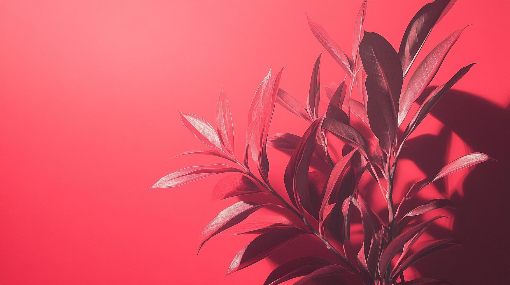 Plant leaves on a red background, with dramatic lighting to make it pop and give it a modern artistic touch. photo