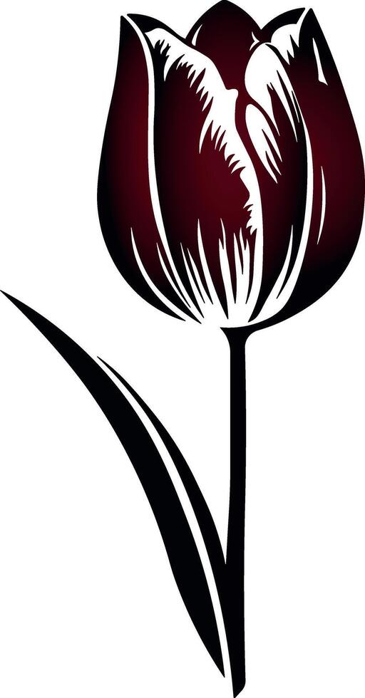 illustration of black and red tulip without background vector