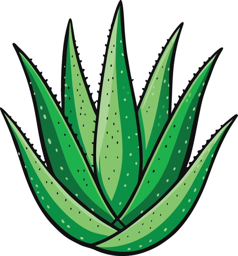 Stylized Aloe Vera Plant Illustration vector