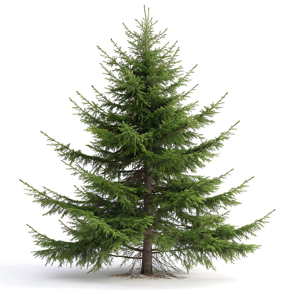 Eastern hemlock tree with lush green branches and a clean white background, evoking calmness and resilience in natures design photo