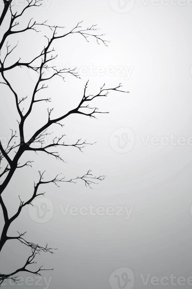 Silhouetted branches against a foggy background in winter photo