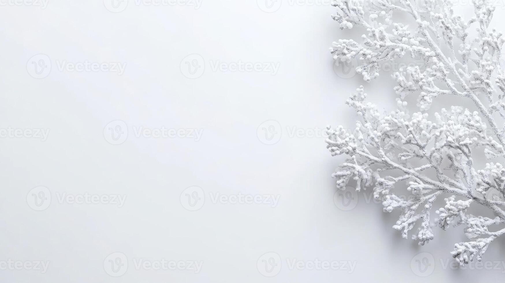 Winter decoration with frosted branches on white background photo