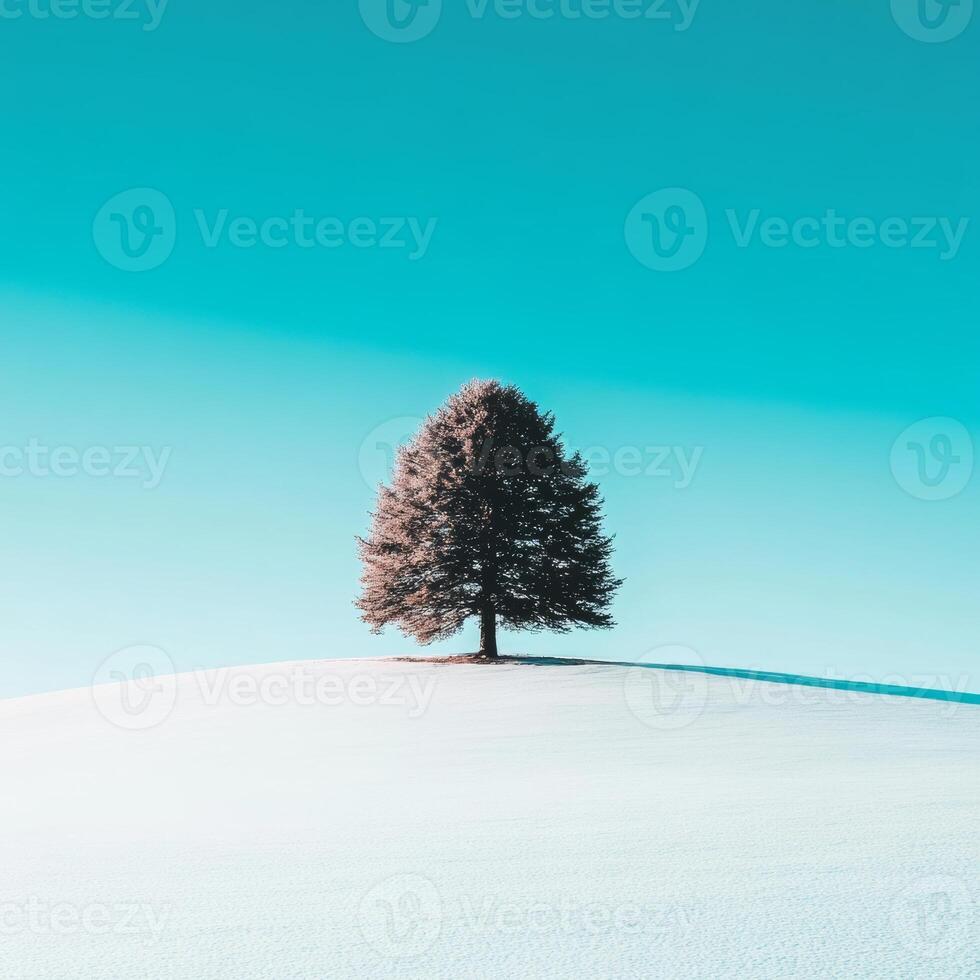 Lonely evergreen tree stands tall on a snowy hill under clear sky photo