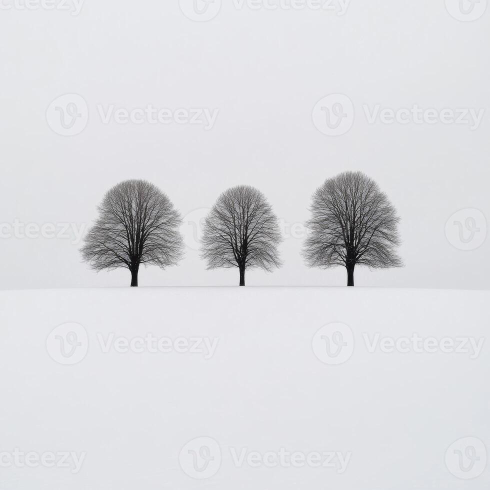 Three trees stand solemnly in a snowy landscape under gray skies photo