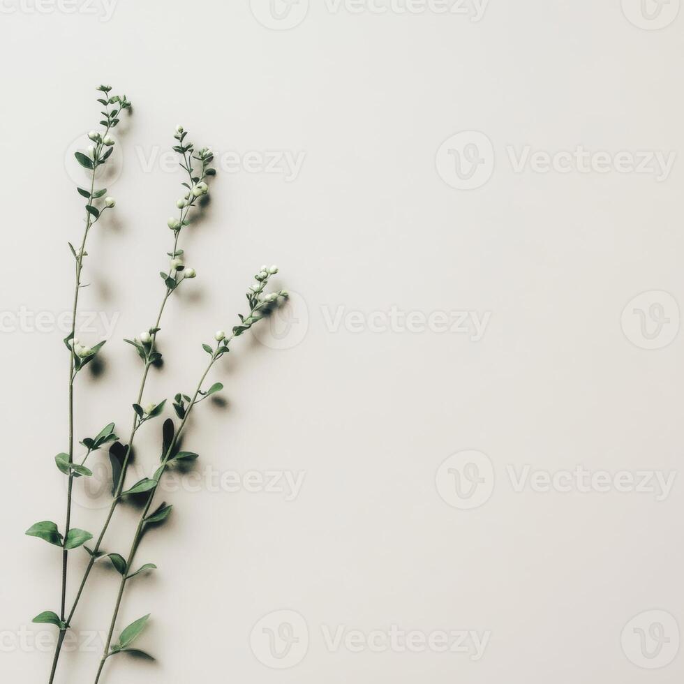 Delicate green branches gracefully placed on a soft neutral backdrop photo