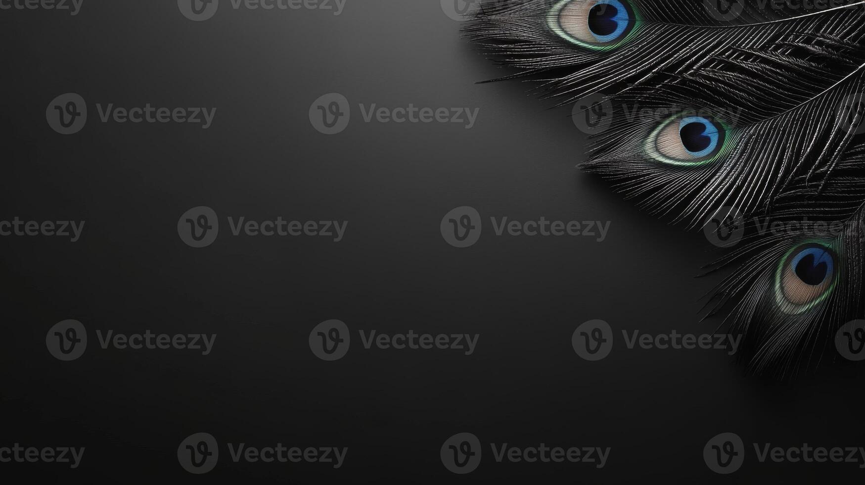 Colorful peacock feathers arranged artistically on dark surface photo