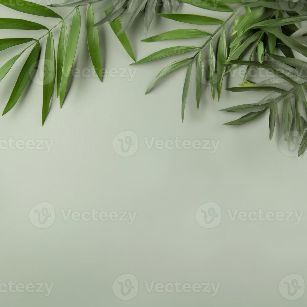 Lush green leaves arranged on a soft mint background photo