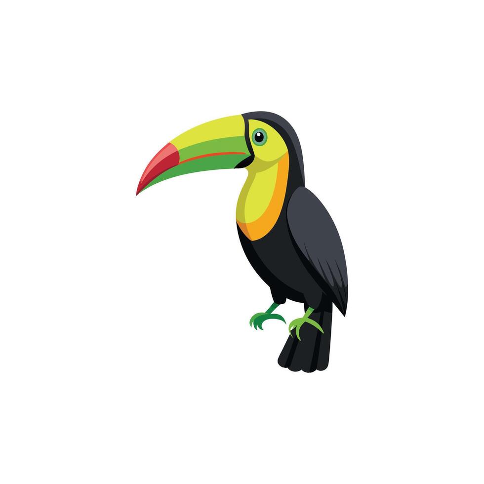 Tropical Beak A Keel-Billed Toucan Adventure vector