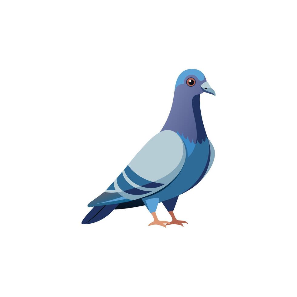 Urban Elegance The Timeless Beauty of a Pigeon vector