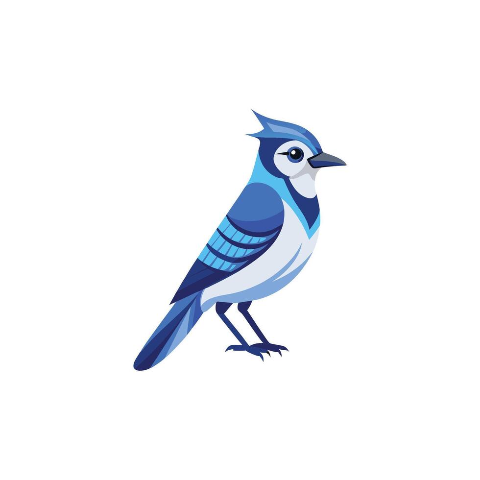 Winged Royalty The Striking Charm of a Blue Jay vector