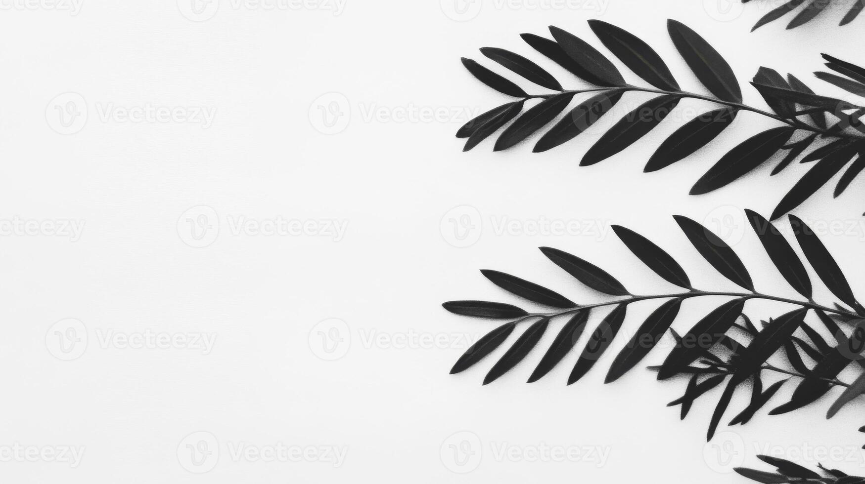 Leaves arrangement on white background in minimalistic style photo