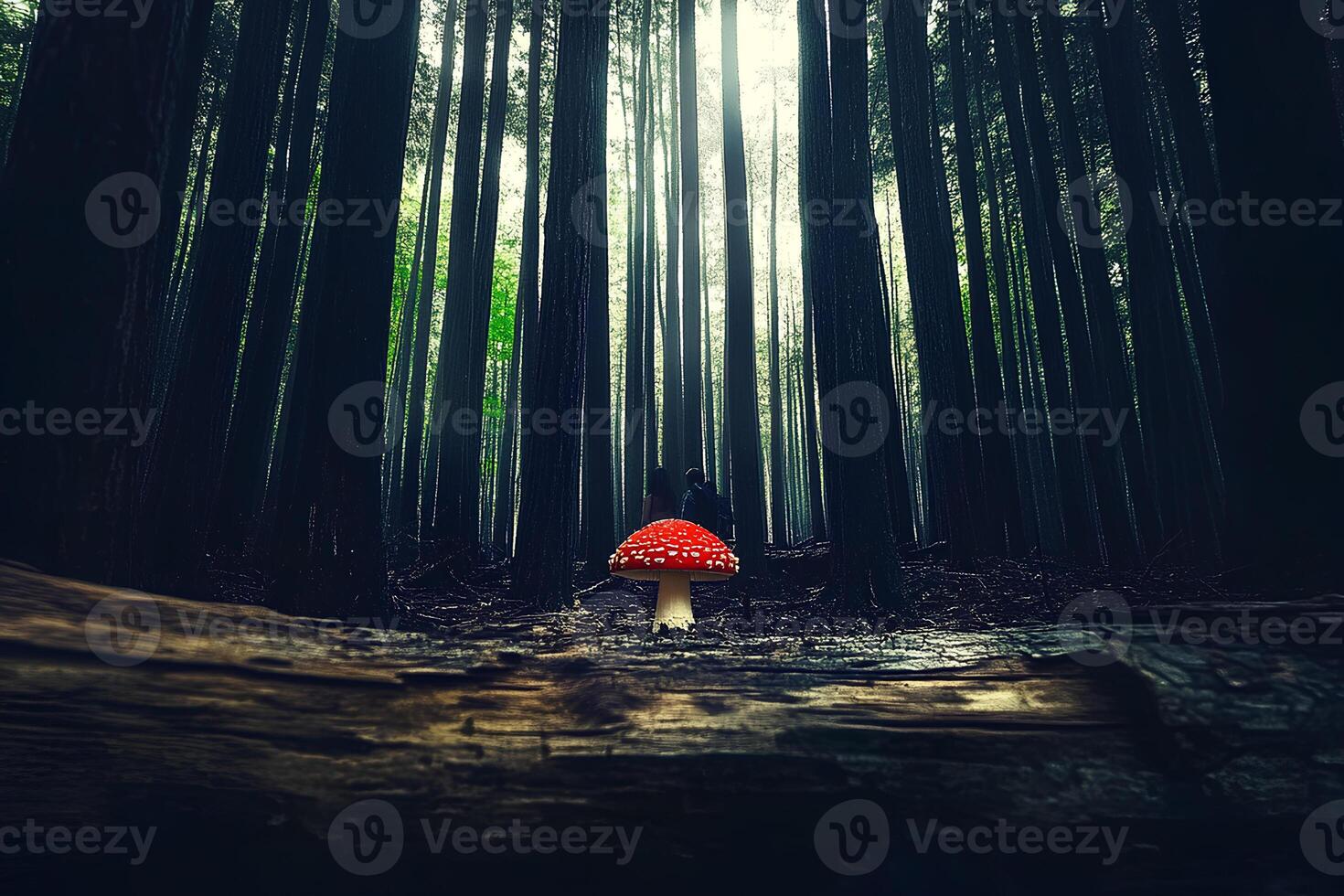 A captivating scene of an Amanita muscaria mushroom, known as Fly Agaric, standing out in the dark forest at dawn, with soft morning light filtering through the trees photo