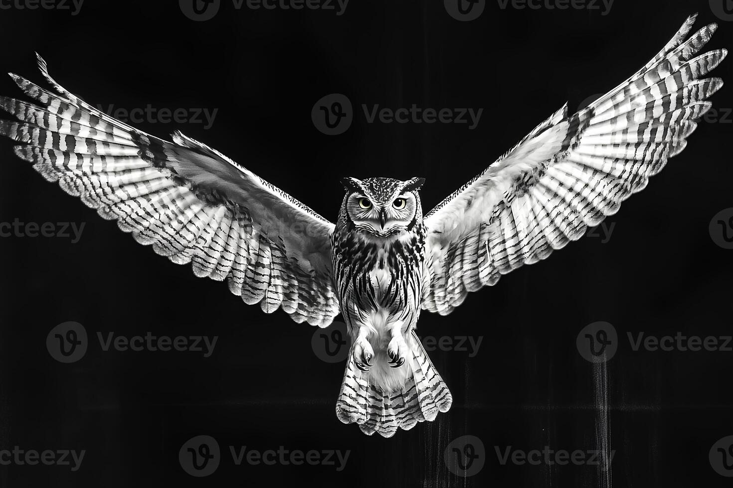 Majestic Great Horned Owl Bubo virginianus in mid-flight with wings fully extended, showcasing its powerful wingspan and sharp gaze against a natural background photo