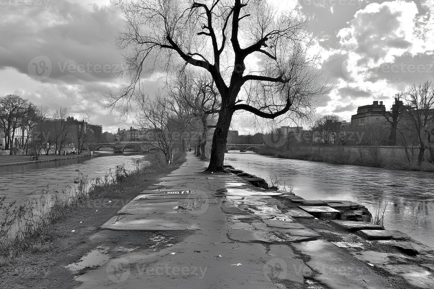 A black and white photograph capturing a solitary tree standing on the riverbank, creating a serene and contemplative atmosphere against the flowing water photo