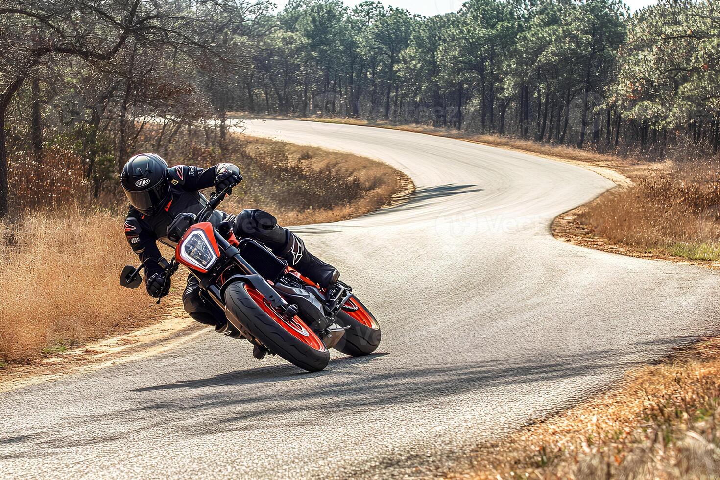 Motorcyclist speeding through a winding road in a dense forest, capturing the thrill of extreme sport and adventure photo