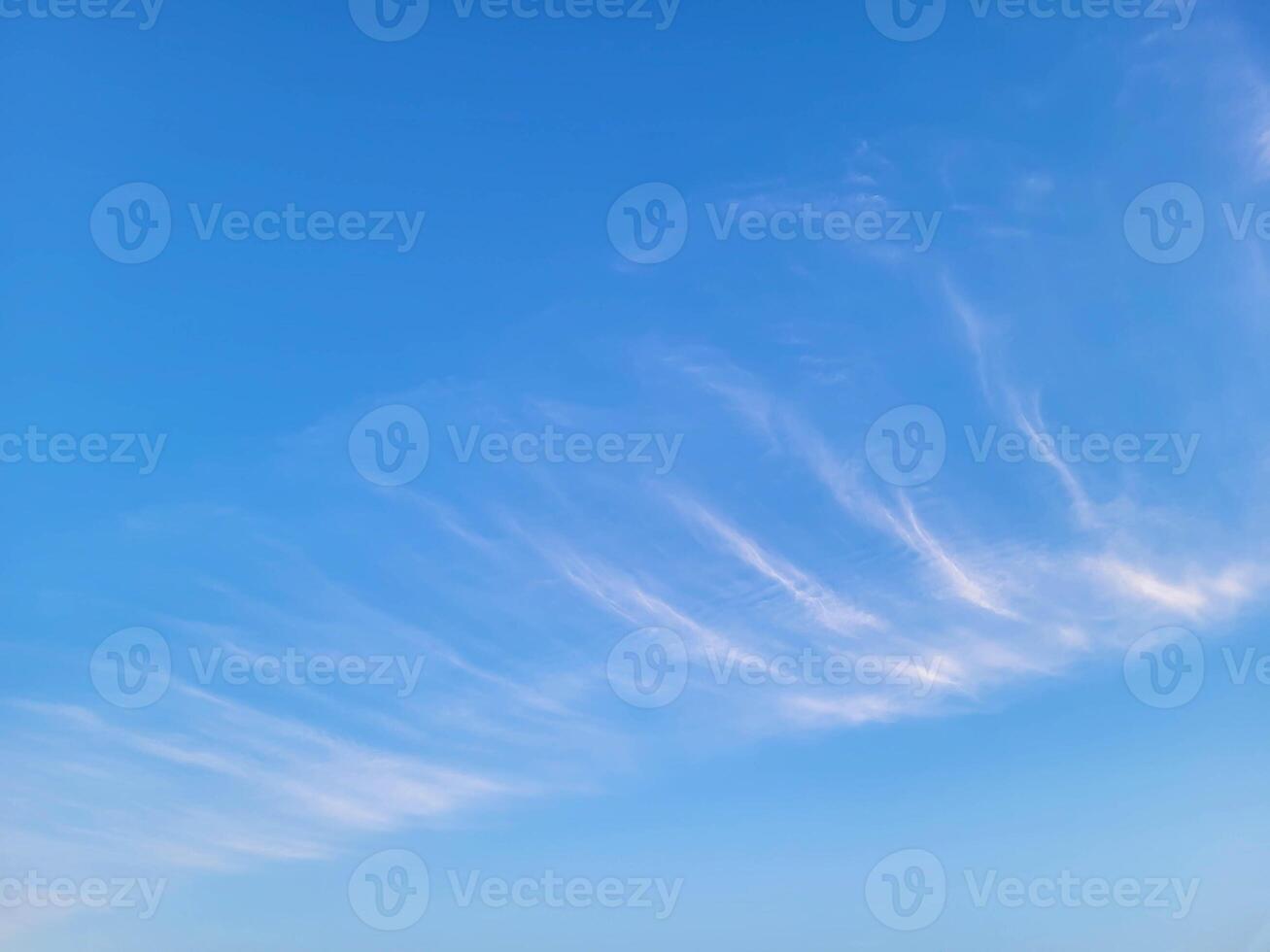 Strips of white fluffy clouds the background of the blue sky photo