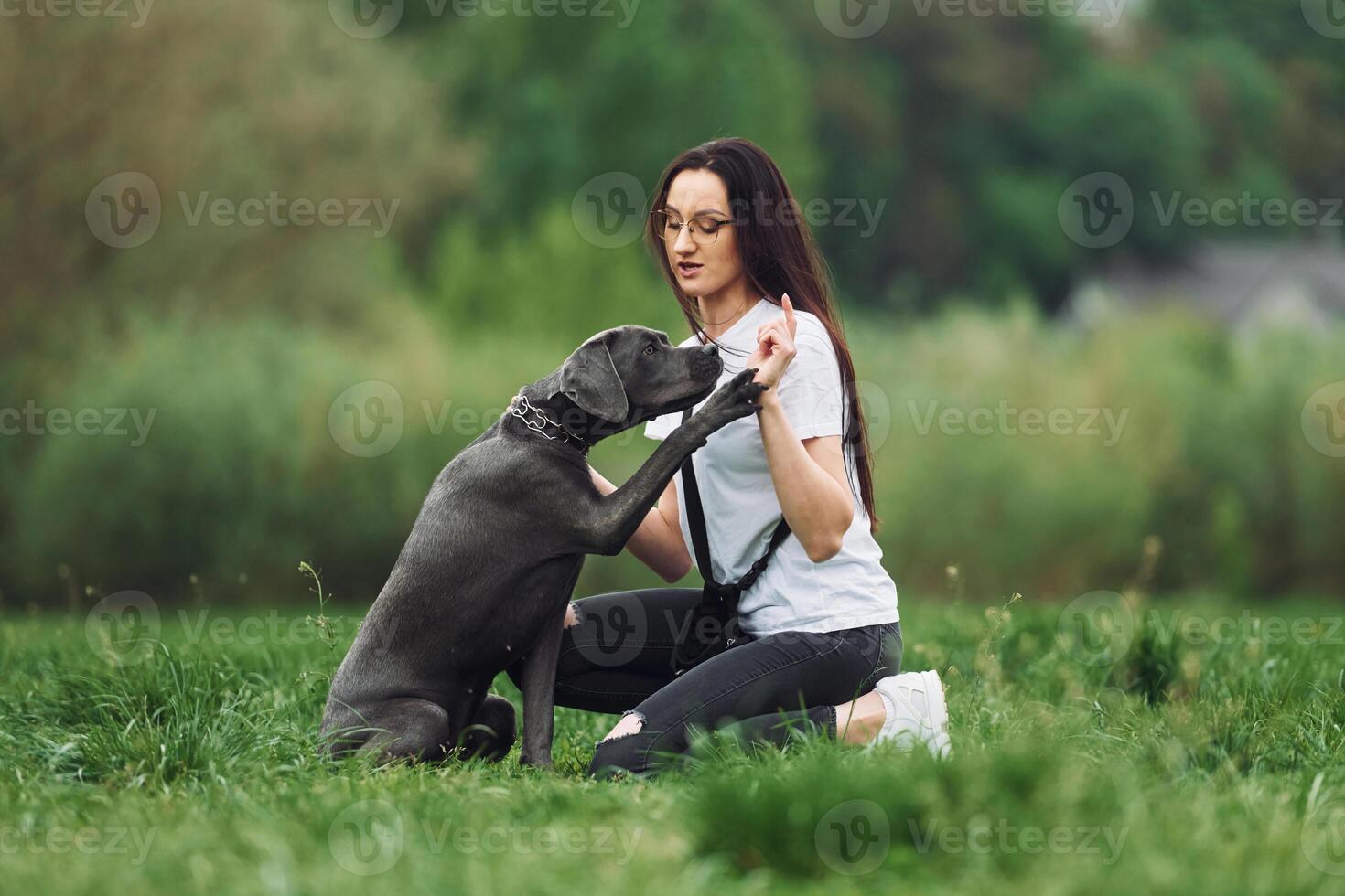A woman is petting a dog in the grass photo