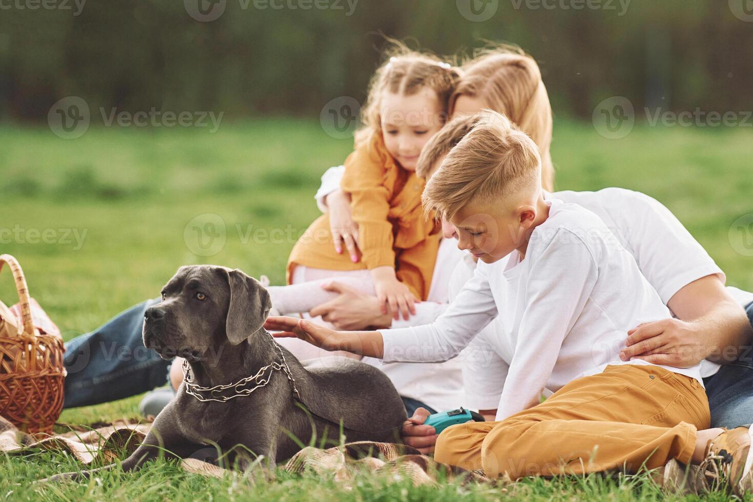 A family sitting on the grass with a dog photo
