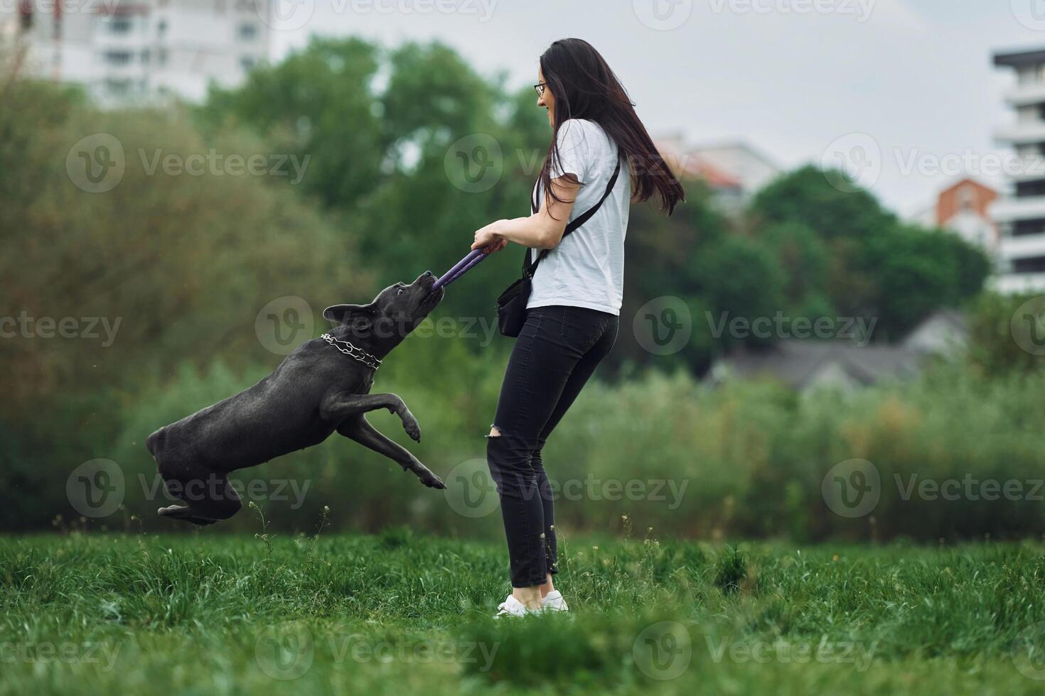A woman is playing with her dog in the park photo