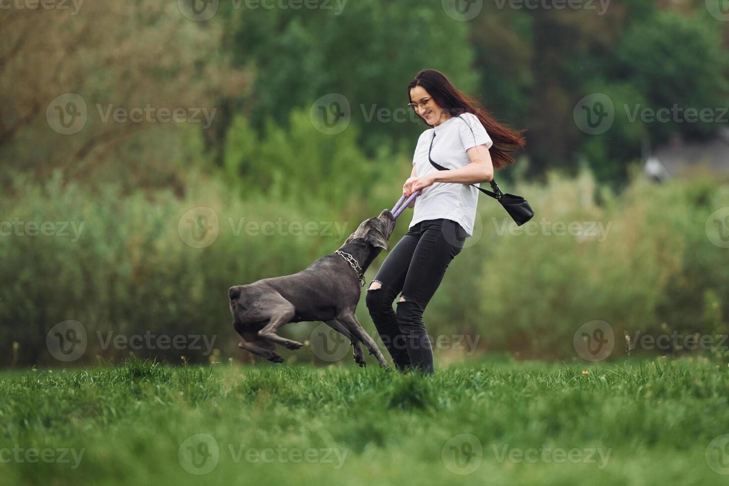 A woman is playing with her dog in the grass photo