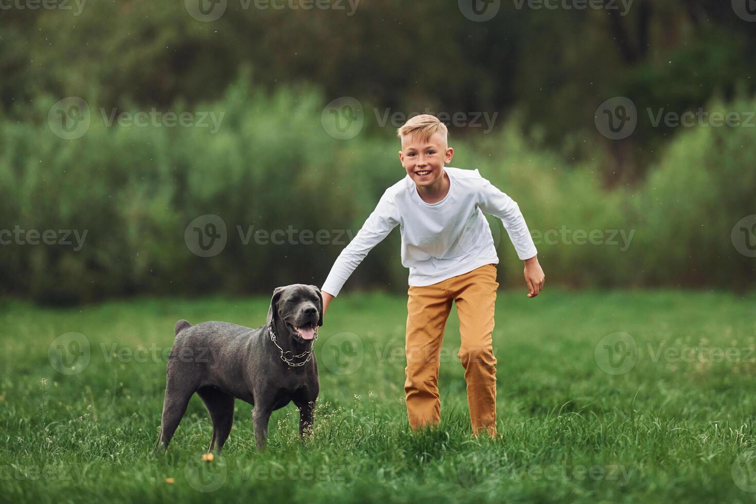 A boy is playing with a dog in a field photo