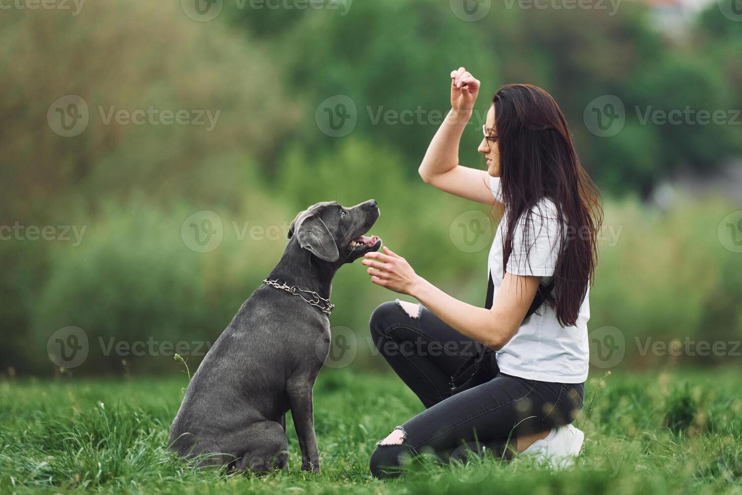 A woman petting a dog in the grass photo