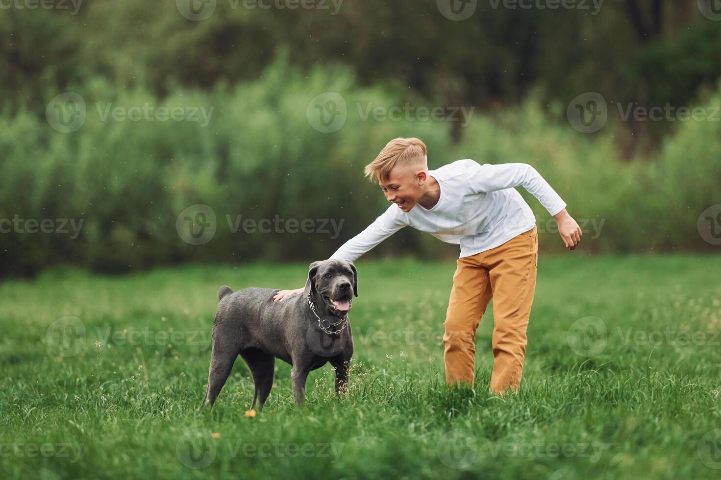 A boy playing with a dog in a field photo