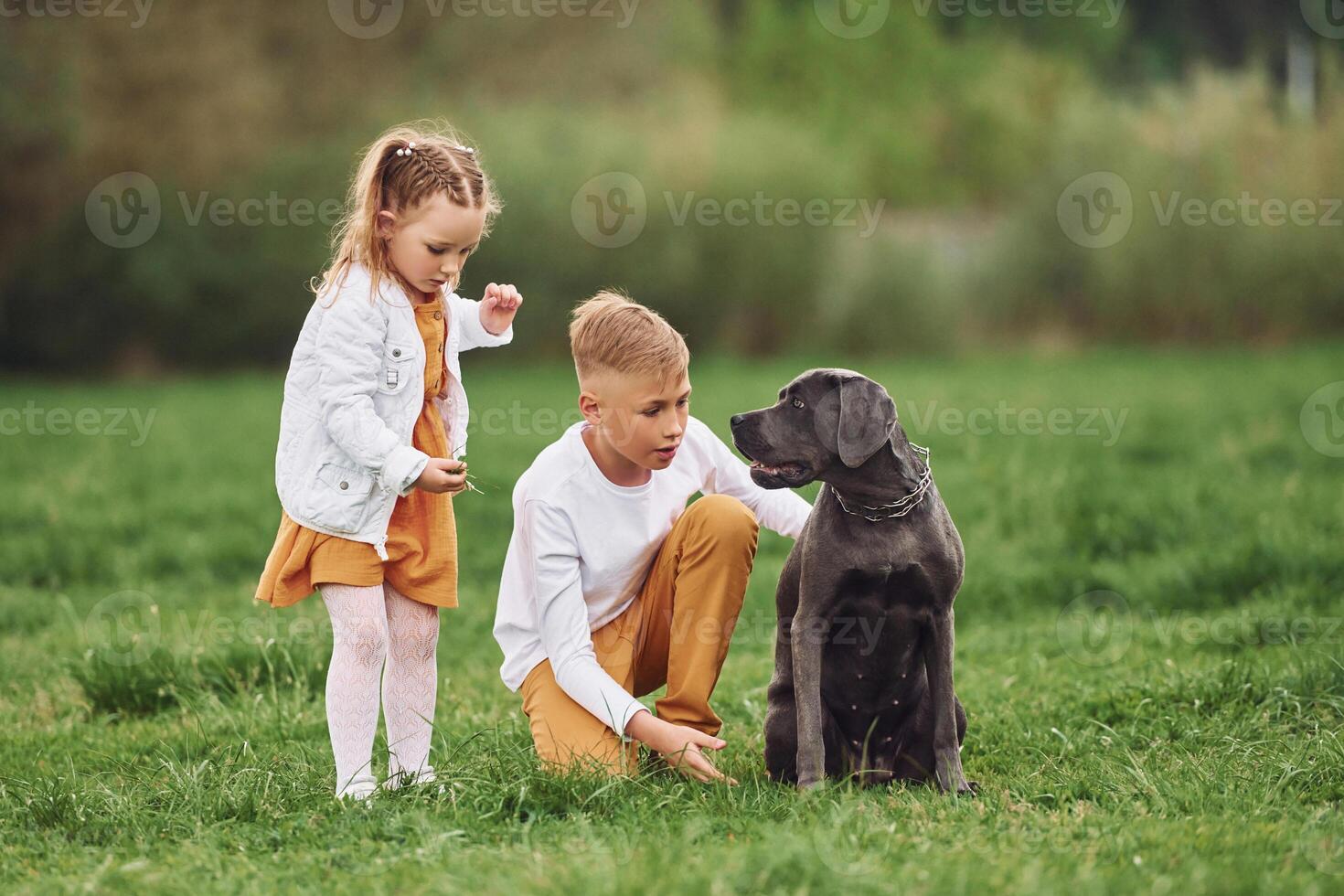 Two children playing with a dog in a field photo