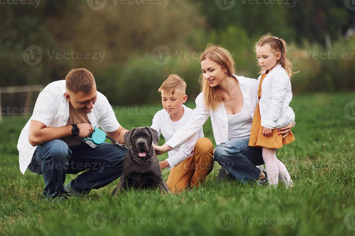 A family with a dog in the grass photo