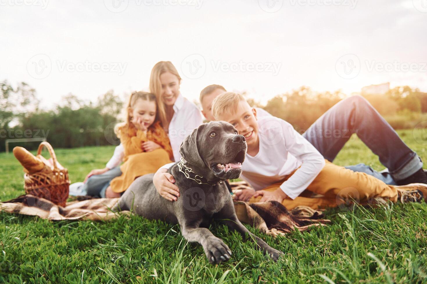 A family is sitting on the grass with their dog photo
