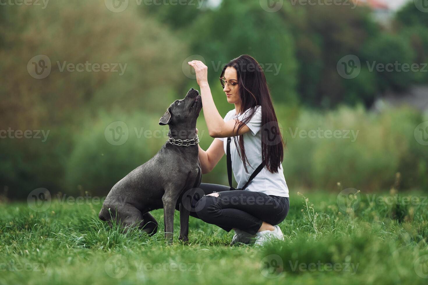 A woman petting a dog in the grass photo