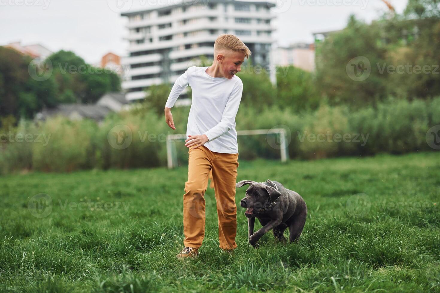 A boy playing with a dog in a field photo