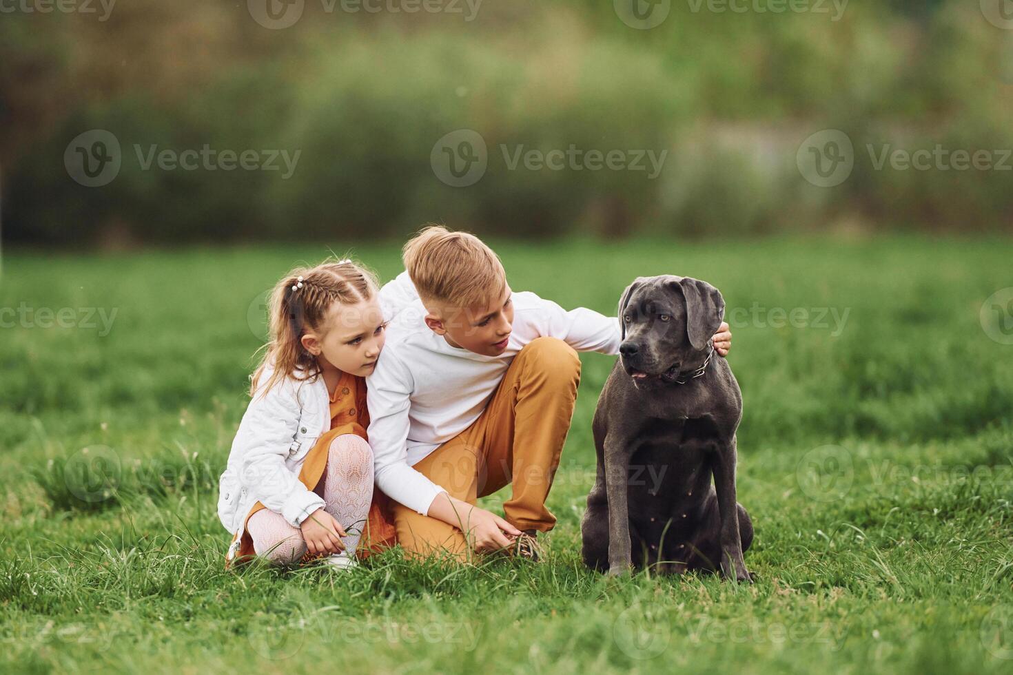 Two children and a dog in a field photo