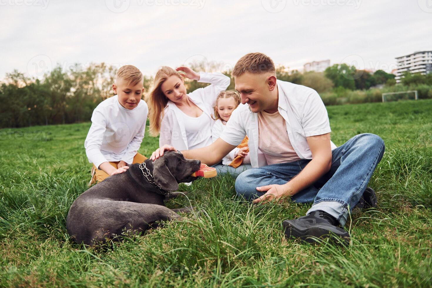 A family is sitting in the grass with their dog photo