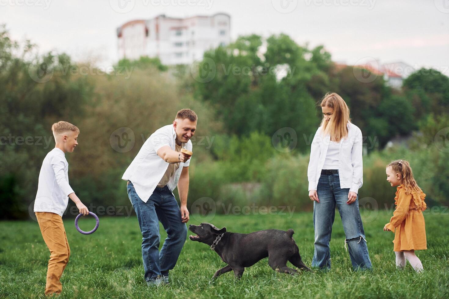A family playing with a dog in a field photo