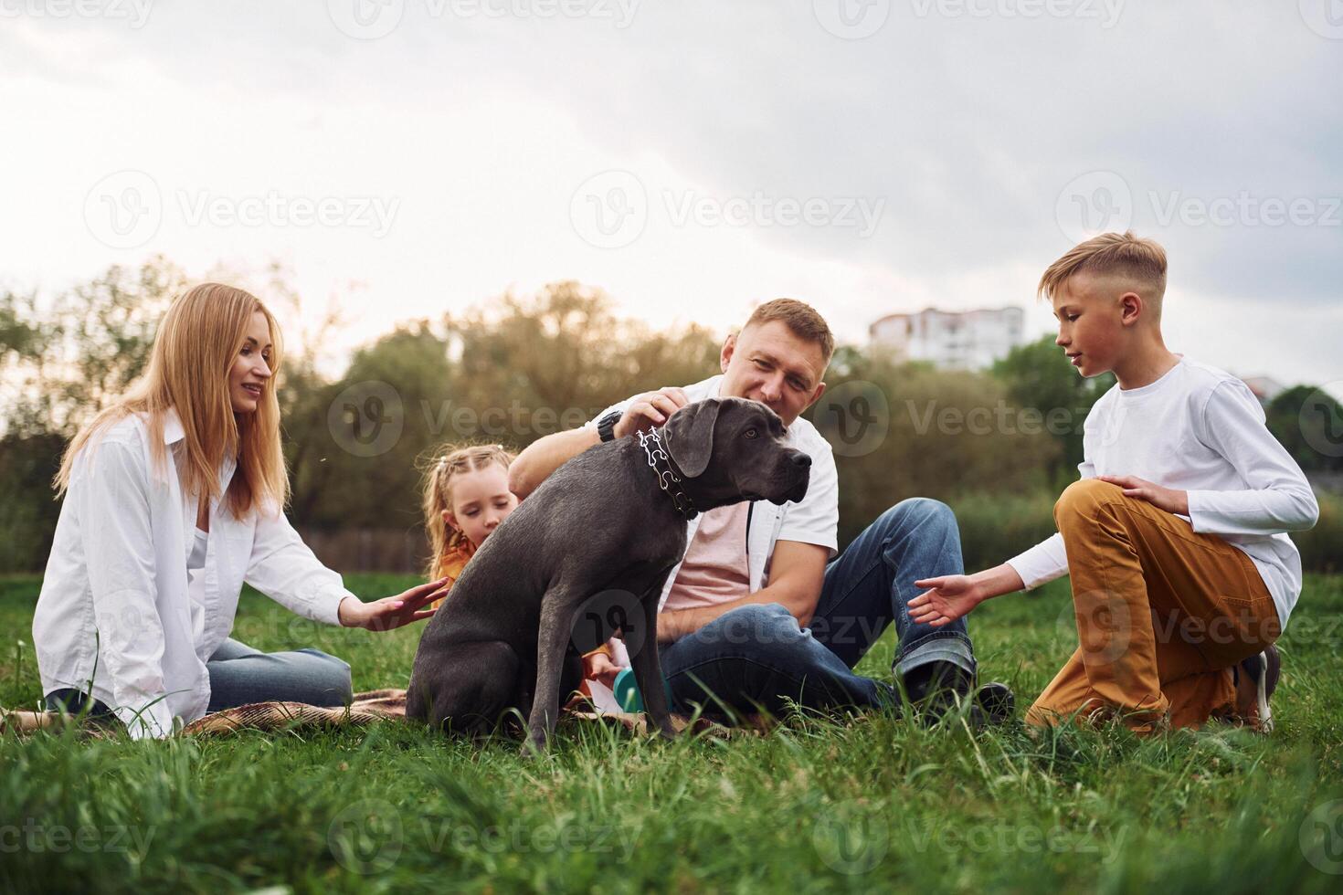 A family sitting on the grass with a dog photo