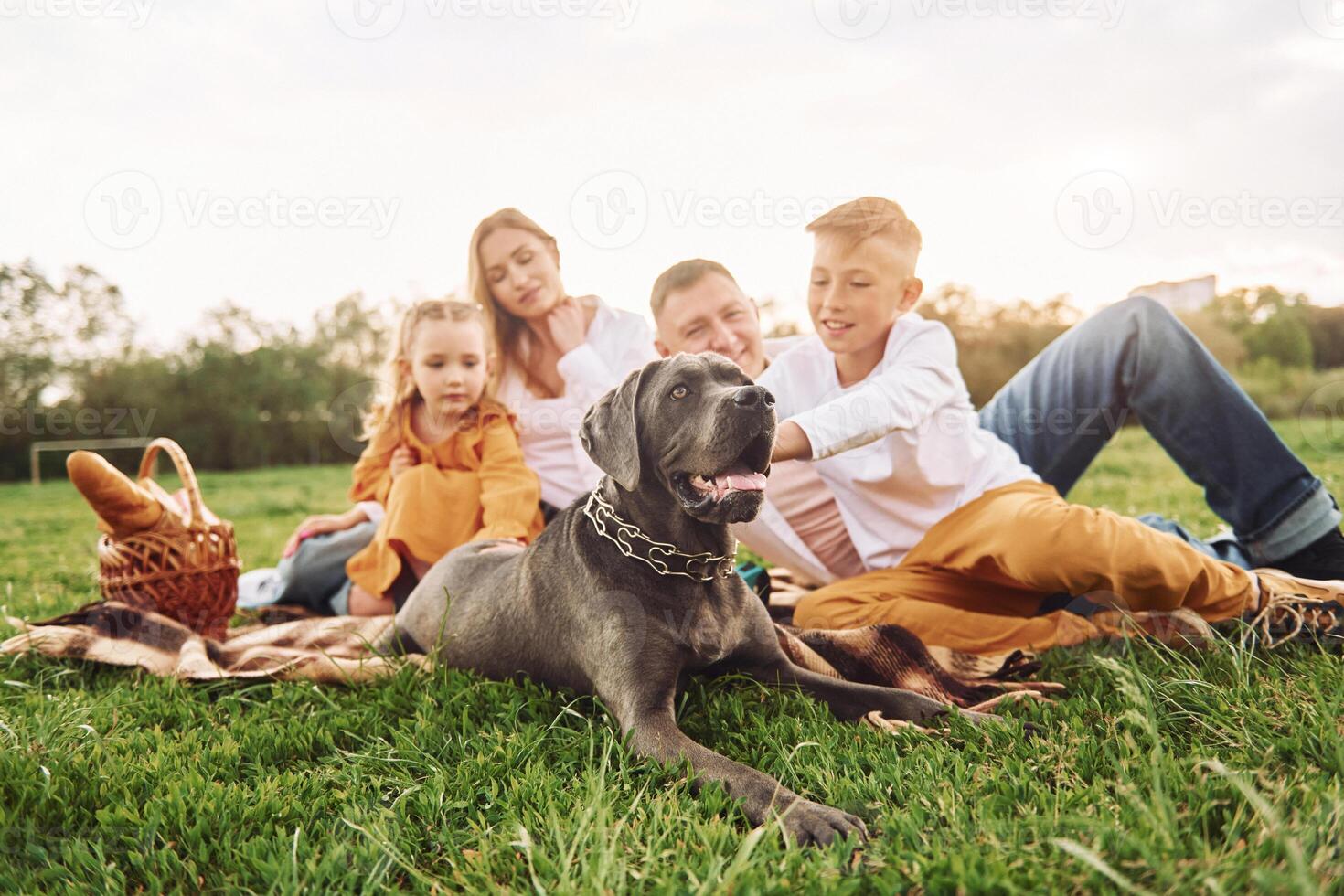 A family sitting on the grass with a dog photo