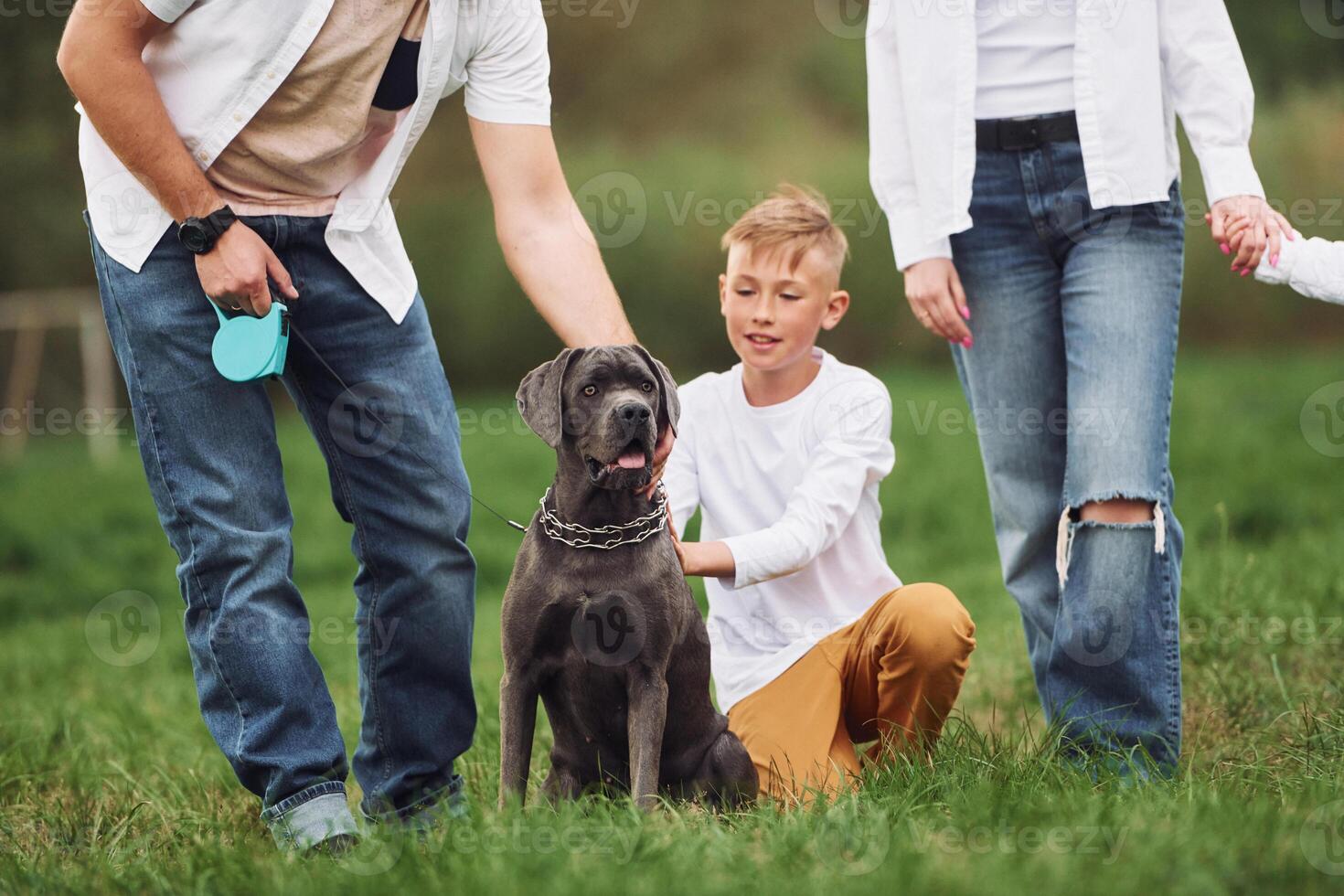 A family with a dog in the grass photo