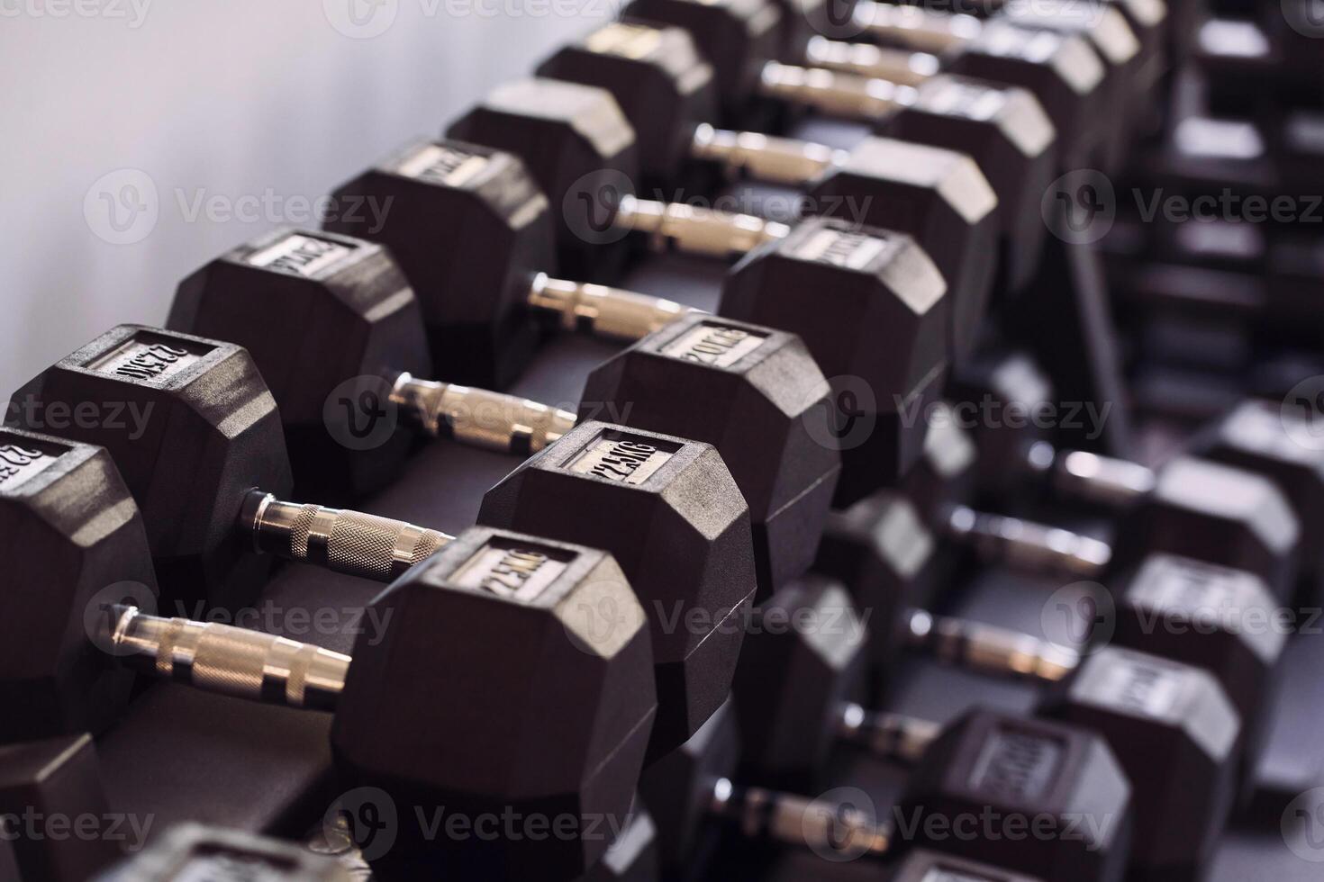 A row of dumbbells in a gym photo