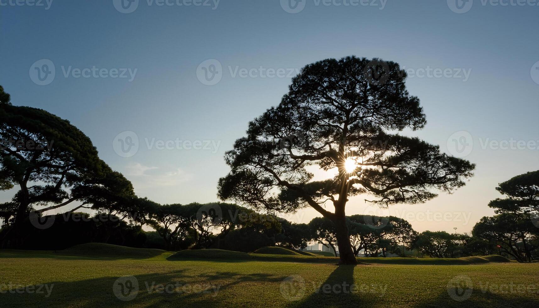 Ethereal Silhouette of a Tree in the Park photo