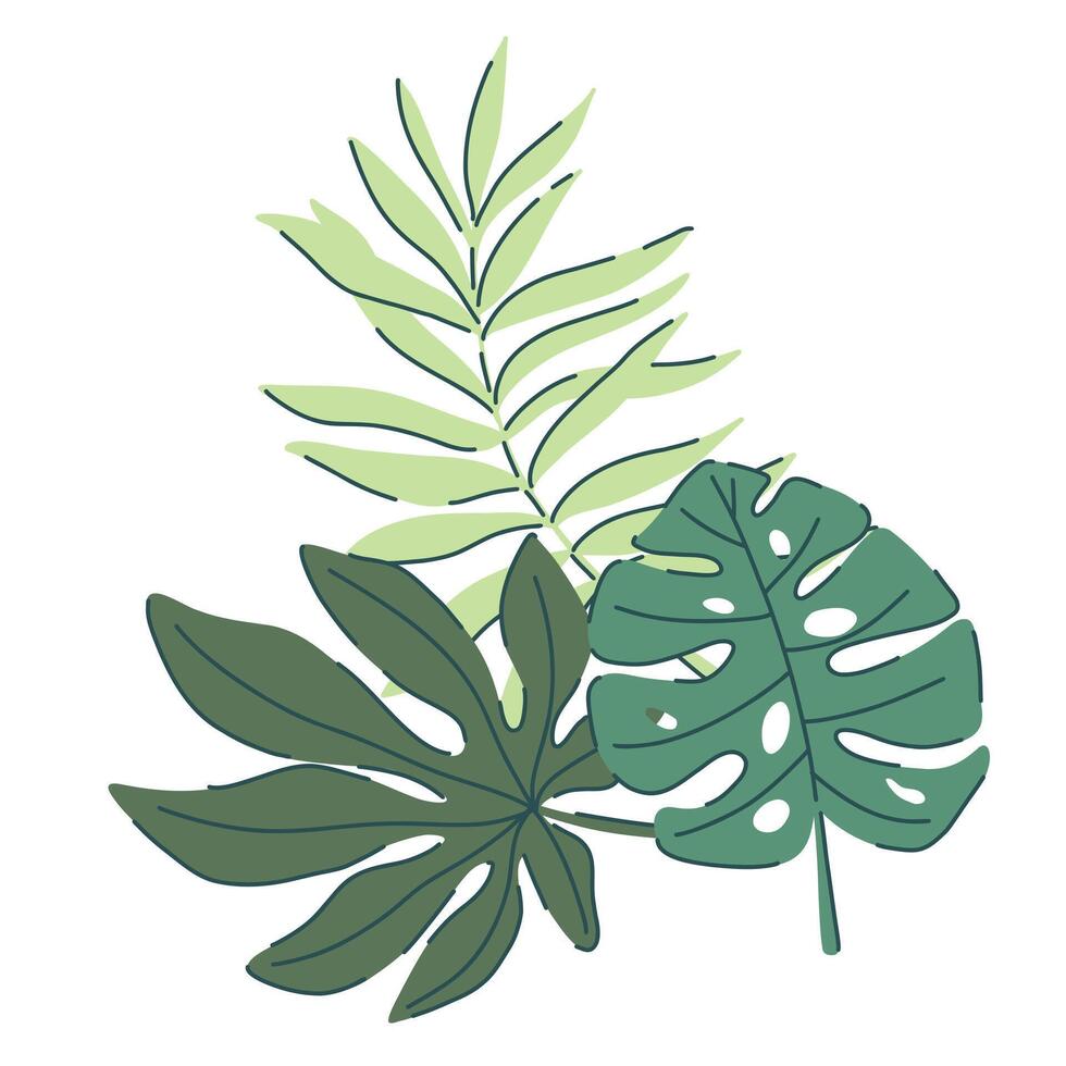 tropical green leaves set. monstera, palm, fern, ivy in various shapes and sizes. simple flat style. illustration. Perfect for prints, packaging, invitations, branding, backgrounds, textile vector