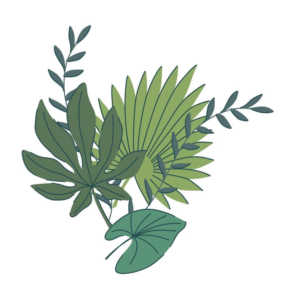 tropical green leaves set. monstera, palm, fern, ivy in various shapes and sizes. simple flat style. illustration. Perfect for prints, packaging, invitations, branding, backgrounds, textile vector